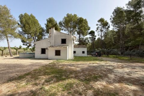 Landejendom i Calasparra, Murcia, Calasparra - € 325.000 | Ref: OFH-333 - foto 2